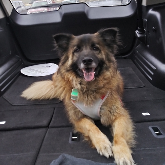 Meet the Posher - Picture 4 of 5